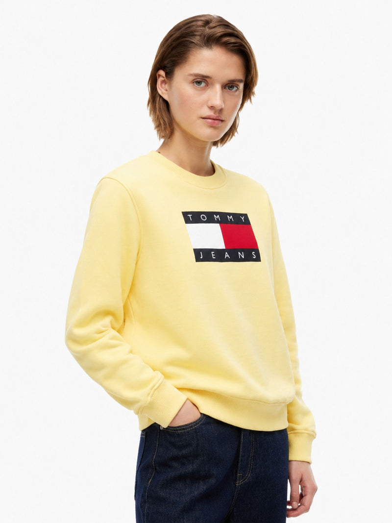 Regular Fit Terry Pullover