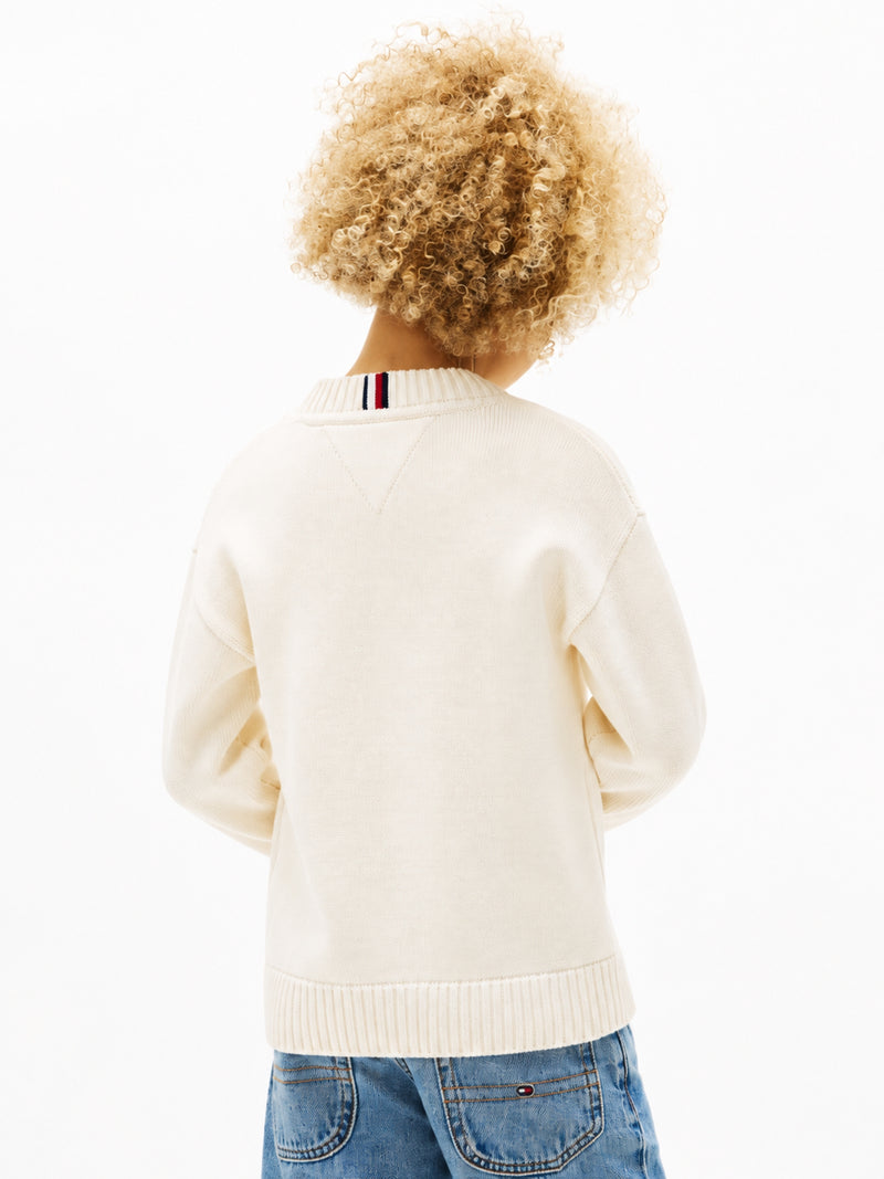 Kids Flag Logo Sweater
