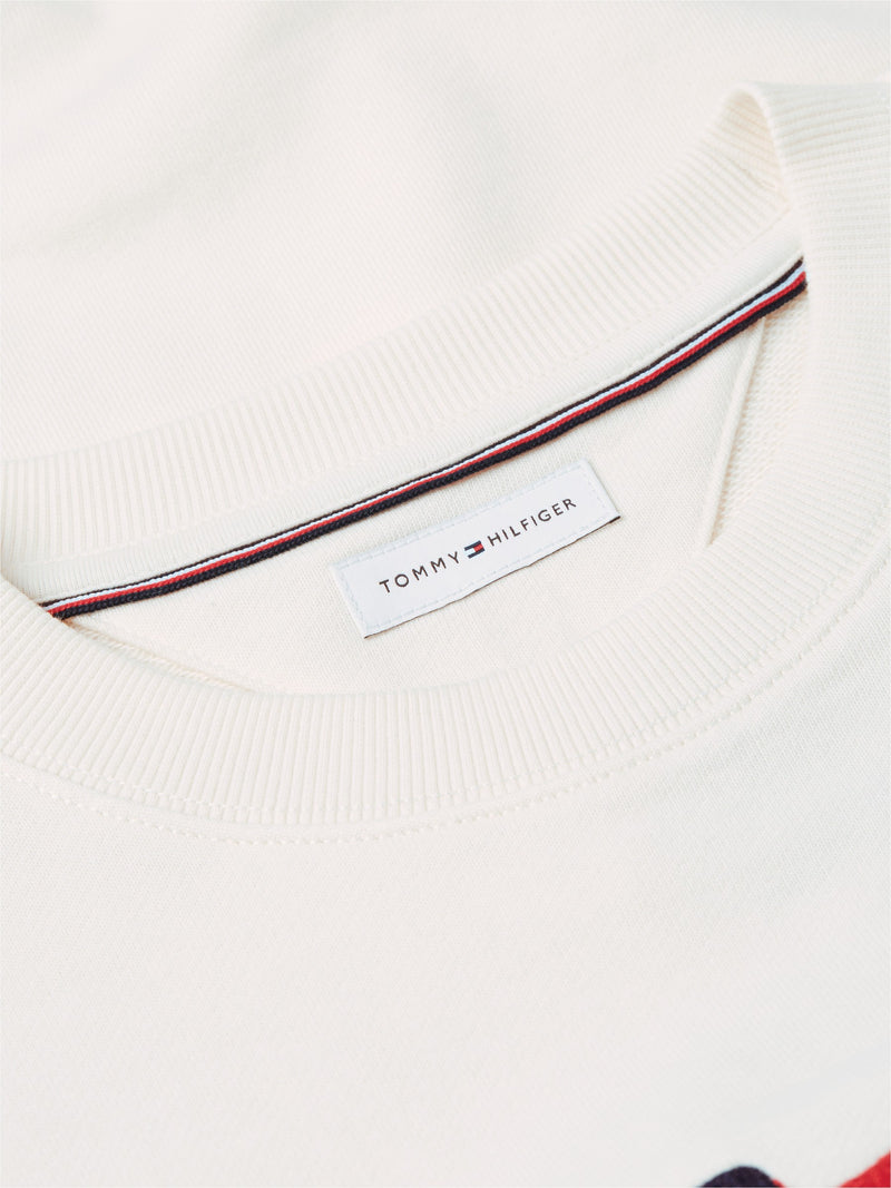 Flag Logo Terry Pullover