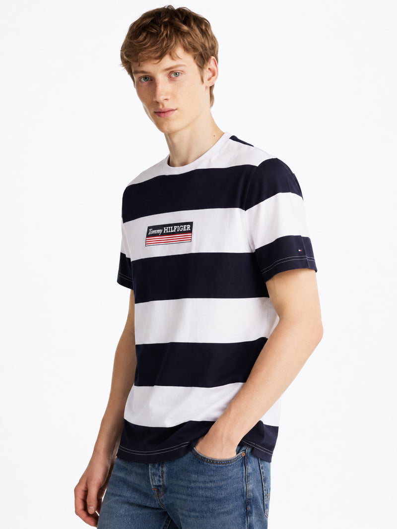 Regular Fit Striped Tshirt