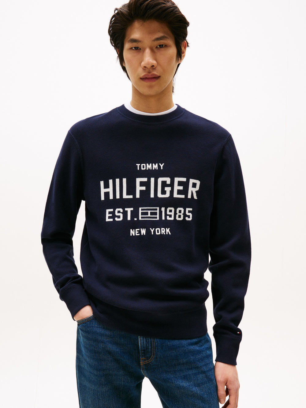 Regular Fit Crew Neck Pullover