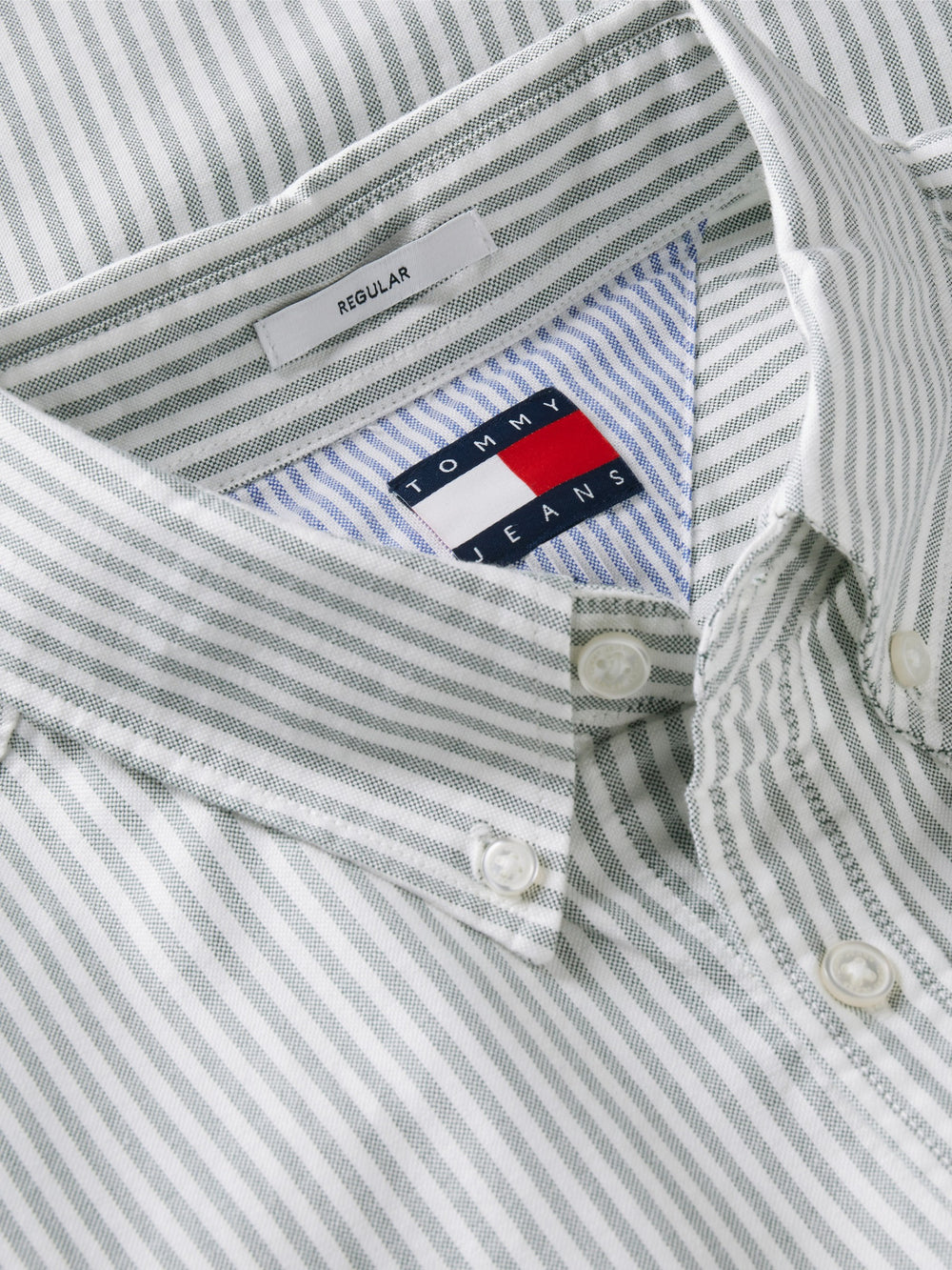 Regular Fit Stripe Oxford Shirt