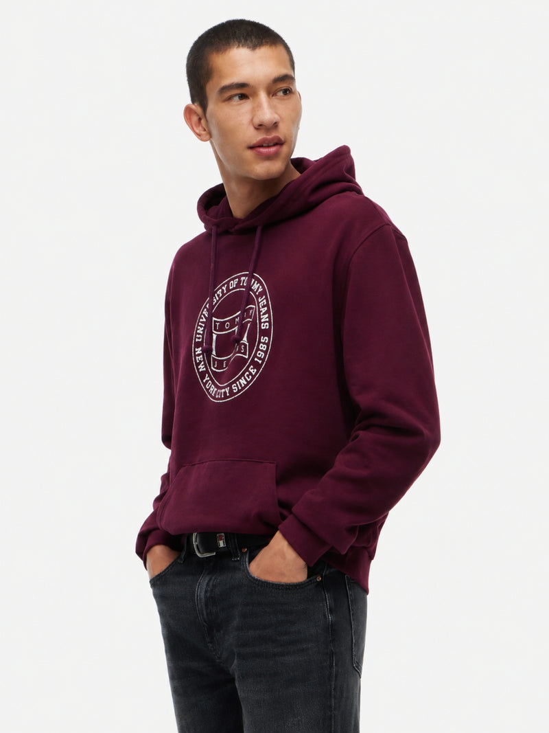 Regular Fit Diagonal Terry Hooded Sweatshirt