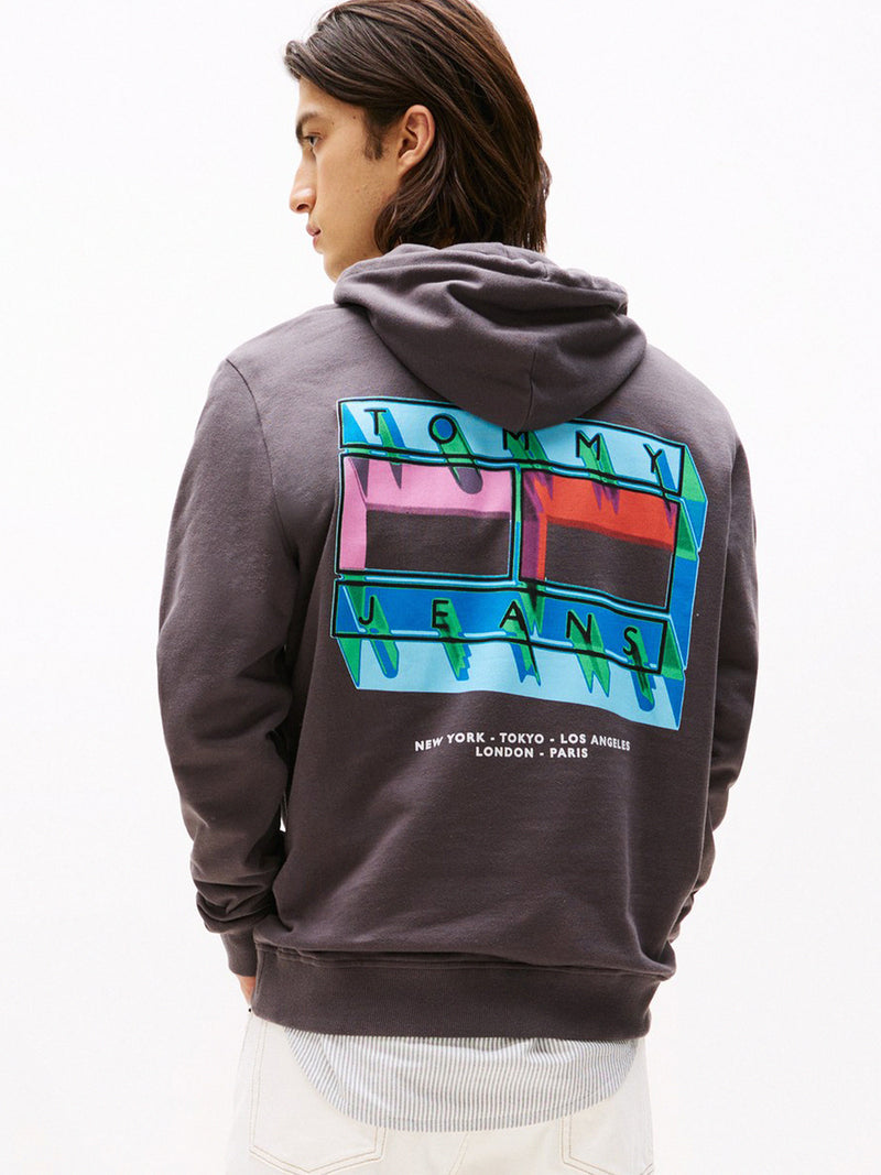 Regular Fit Terry Hooded Sweatshirt