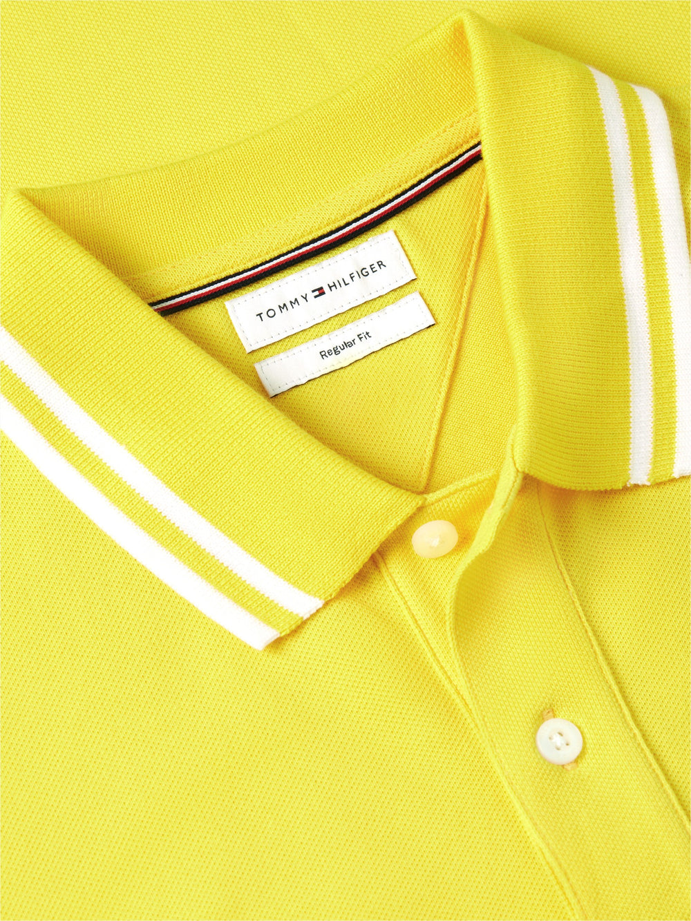 Regular Fit Graphic Pique Polo