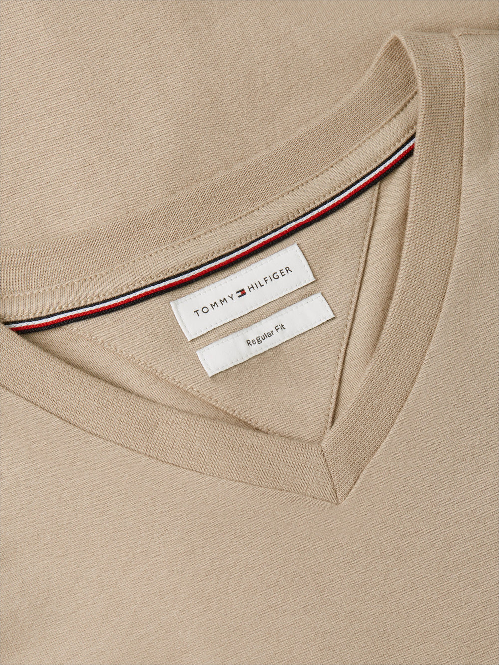 Regular Fit V Neck T-Shirt