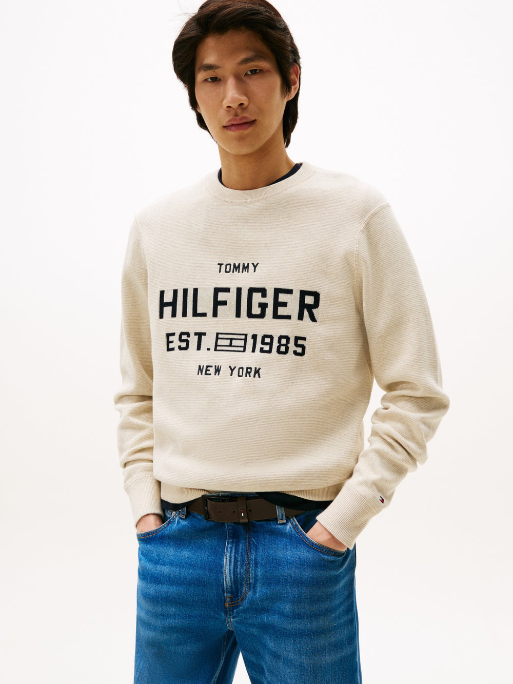 Regular Fit Crew Neck Pullover