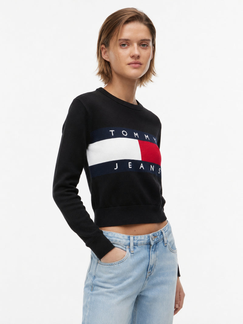 Full Sleeve Regular Fit Pullover