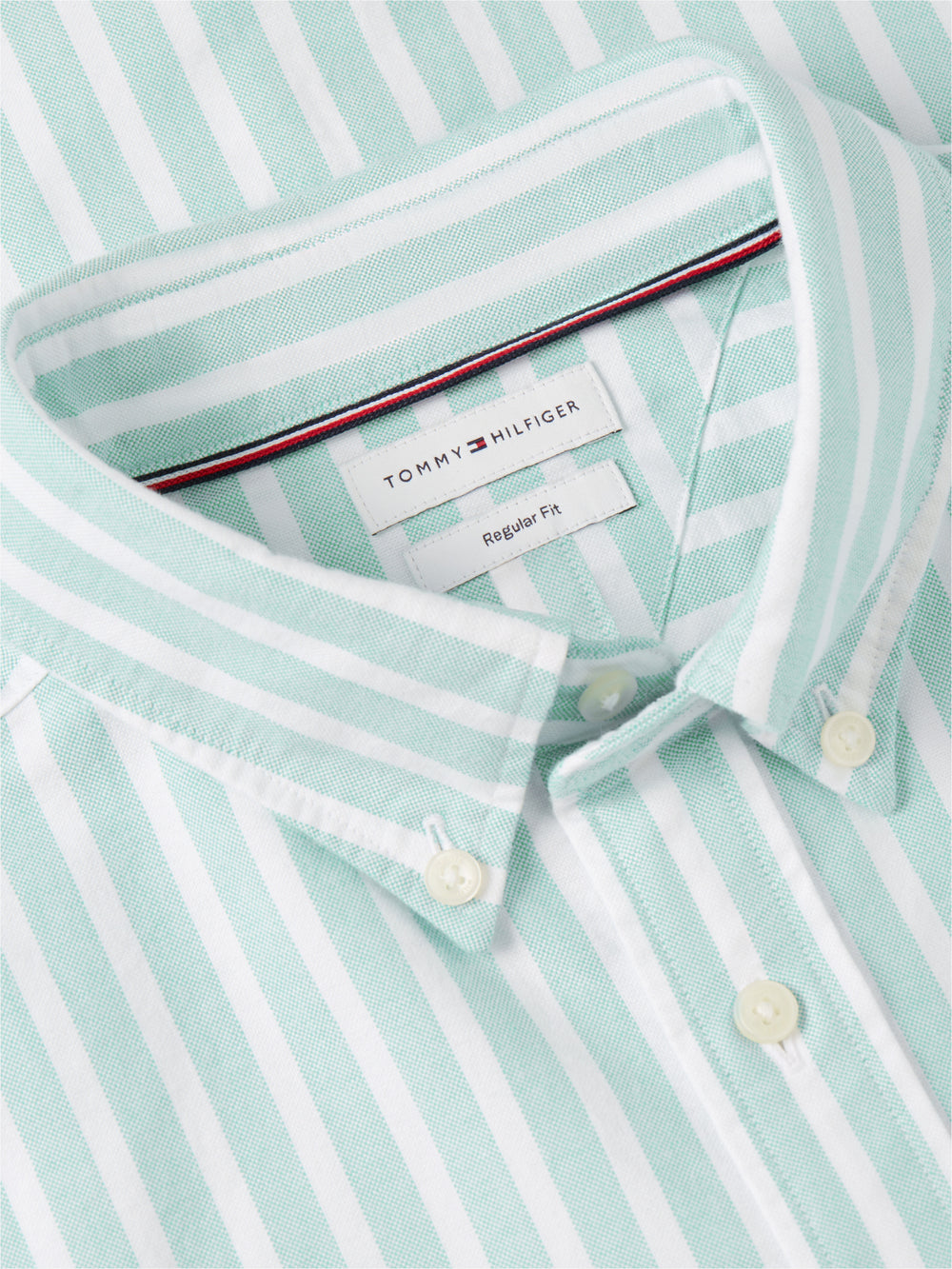 Regular Fit Stripe Oxford Shirt