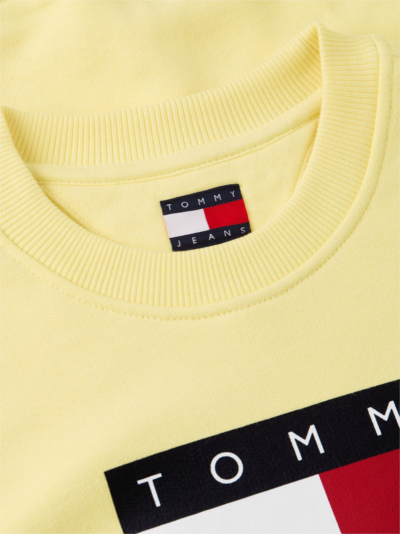 Regular Fit Terry Pullover