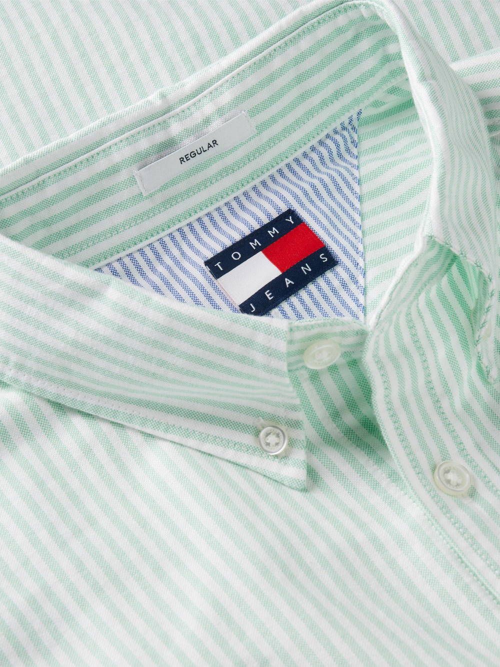 Regular Fit Stripe Oxford Shirt