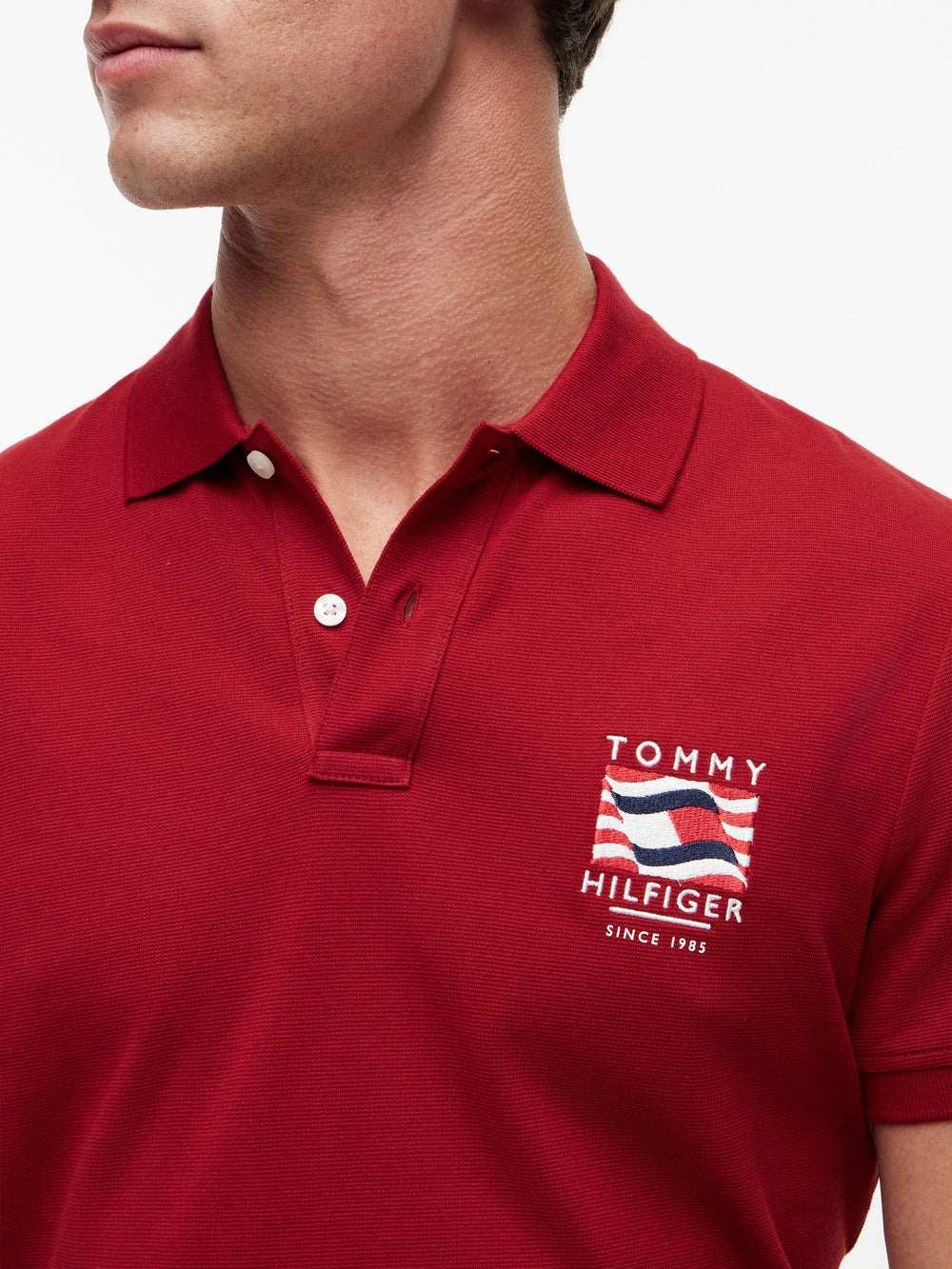 Regular Fit Graphic Pique Polo