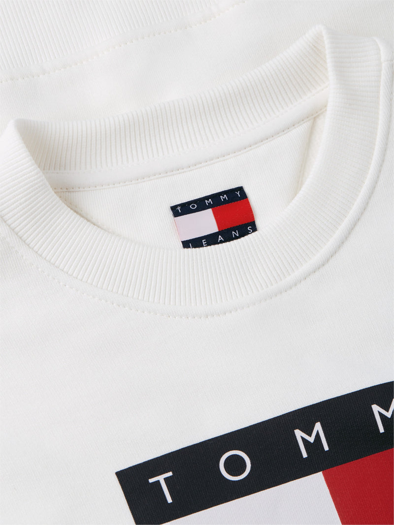 Regular Fit Terry Pullover