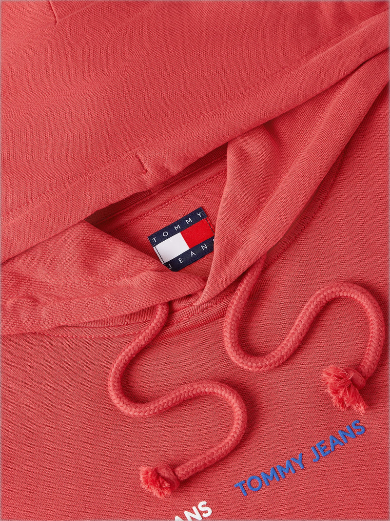 Regular Fit Terry Hooded Sweatshirt