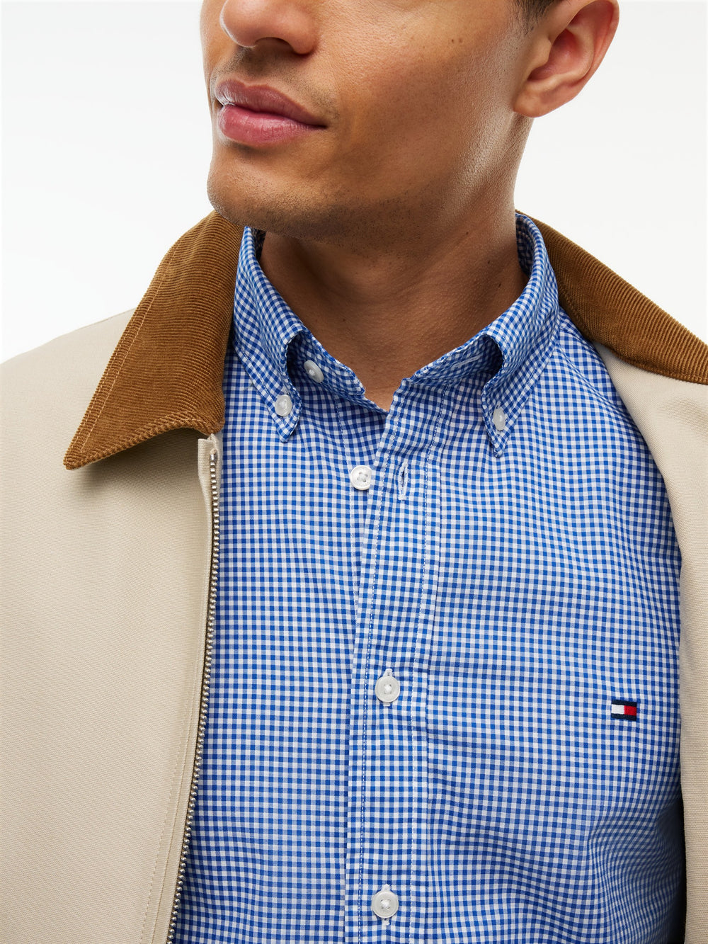 Regular Fit Check Poplin Shirt