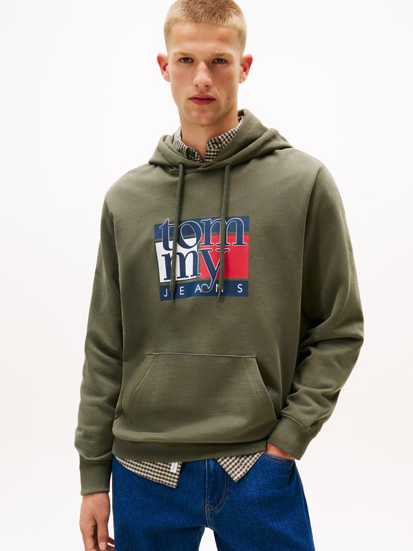 Regular Fit Terry Hooded Sweatshirt