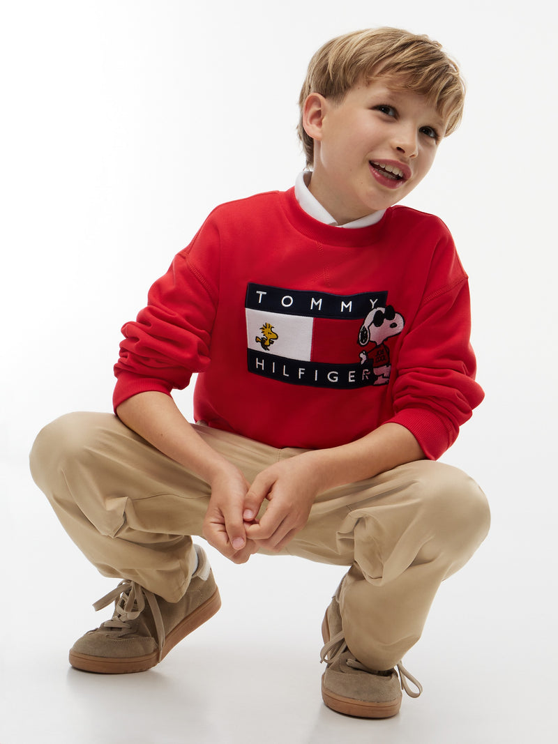 Kids Peanut Flag Logo Sweatshirt