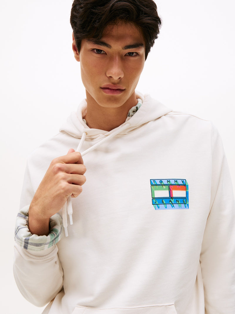 Regular Fit Terry Hooded Sweatshirt