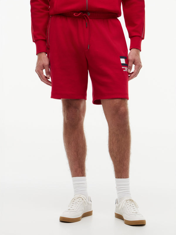 Men Regular Fit Solid Countries Shorts