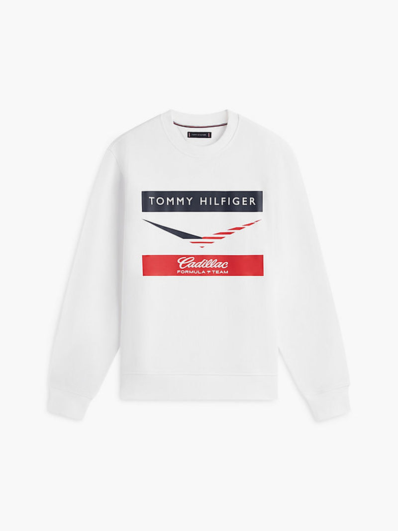 Regular Fit Cf1 Pullover