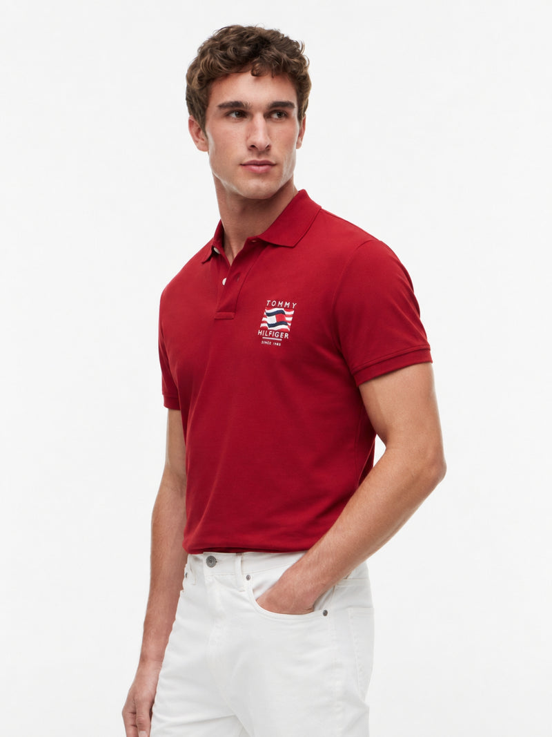 Regular Fit Graphic Pique Polo