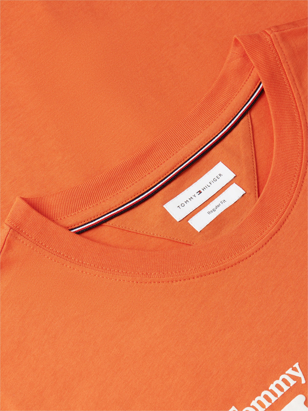 Regular Fit Graphic Tshirt