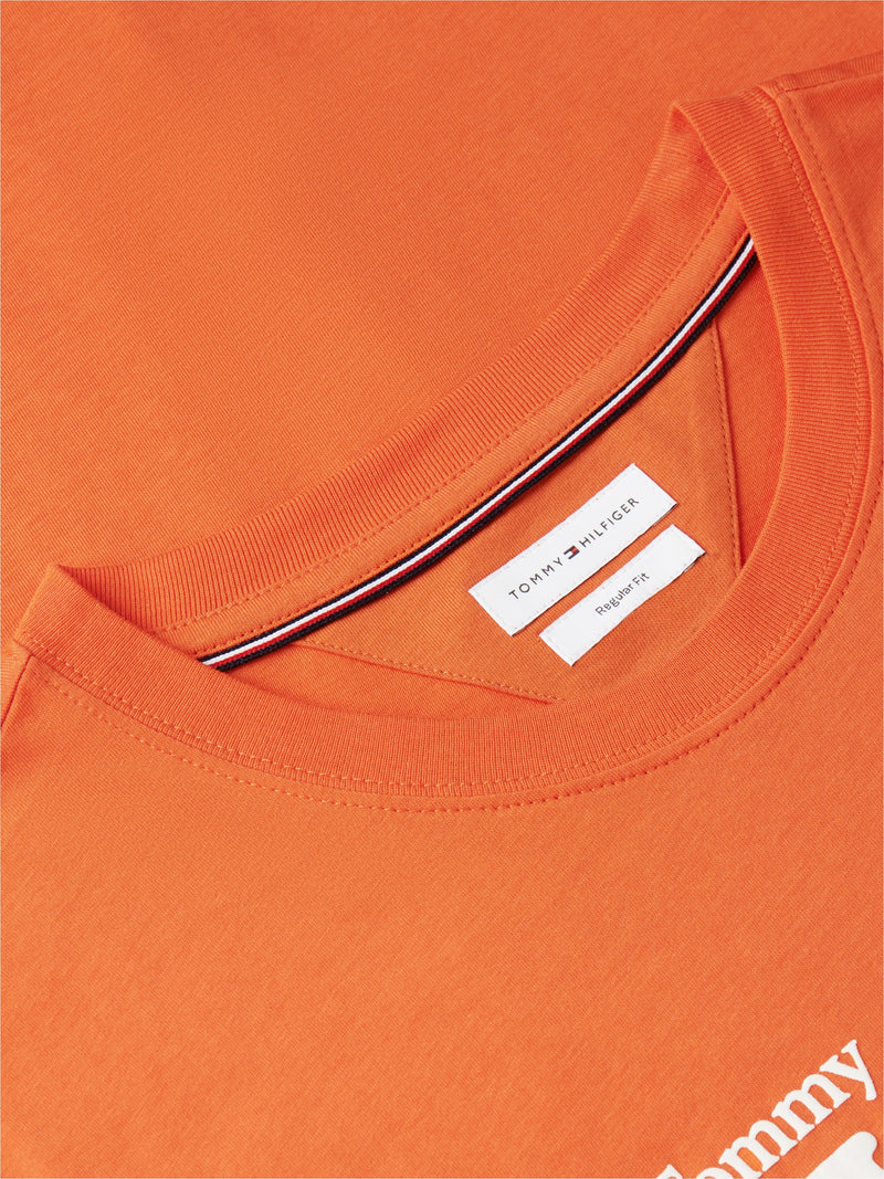 Regular Fit Graphic Tshirt
