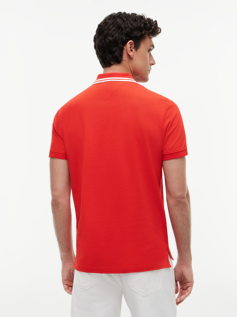 Regular Fit Graphic Pique Polo