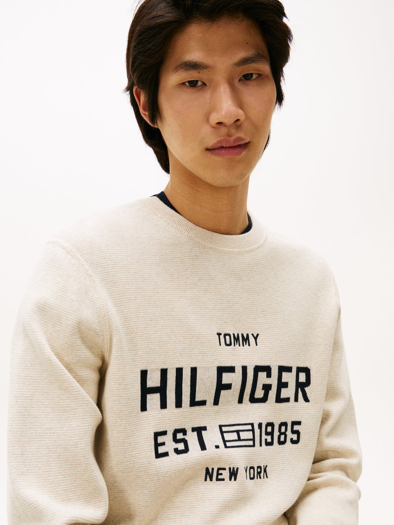 Regular Fit Crew Neck Pullover