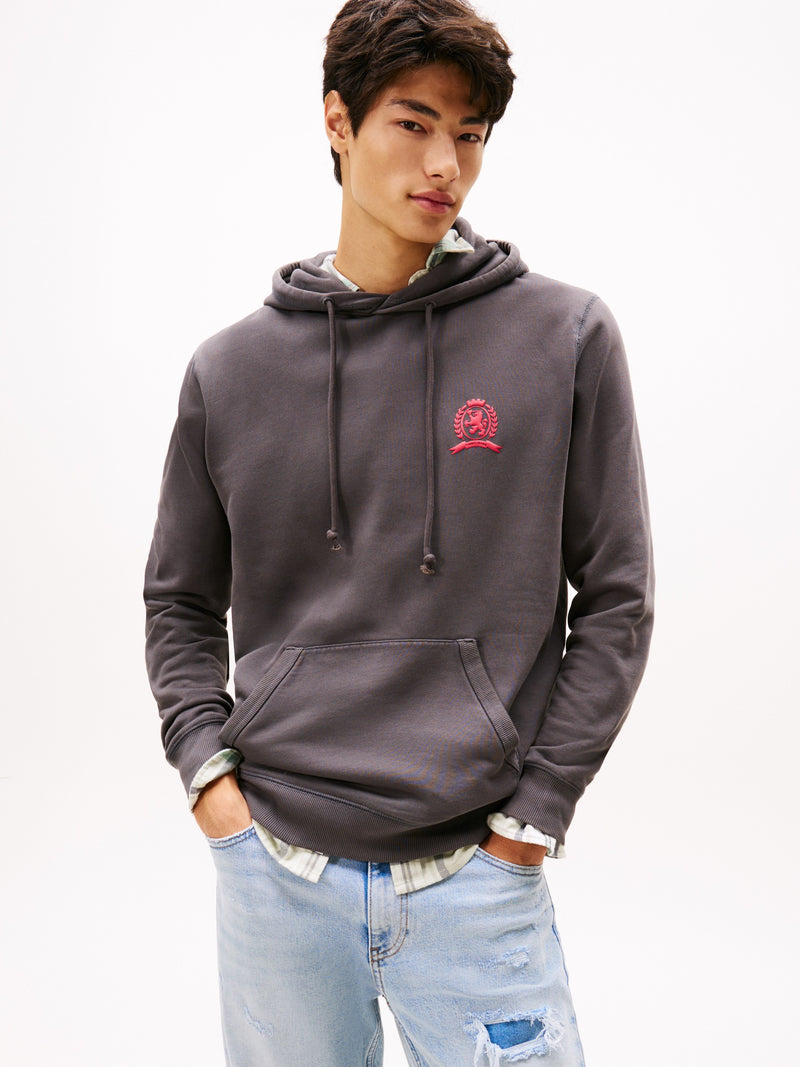Regular Fit Brushed Fleece Hooded Sweatshirt