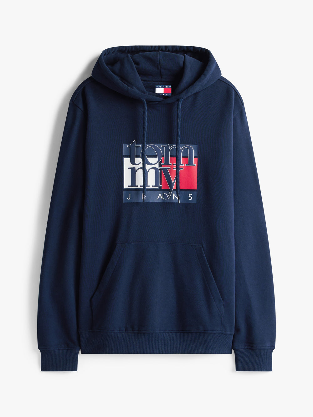 Regular Fit Terry Hooded Sweatshirt