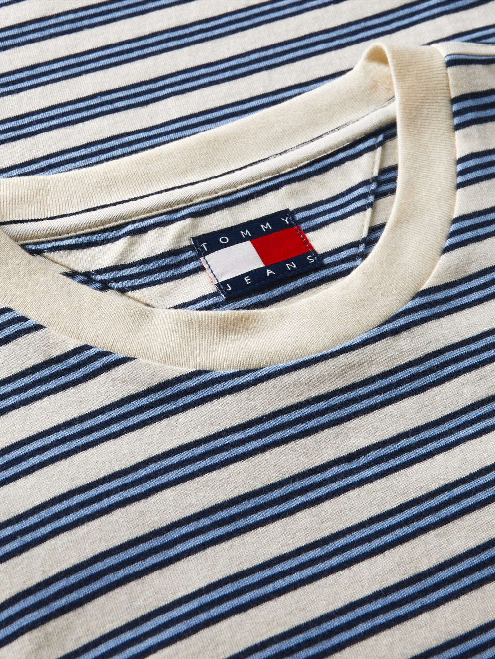 Regular Fit Stripe T-Shirt