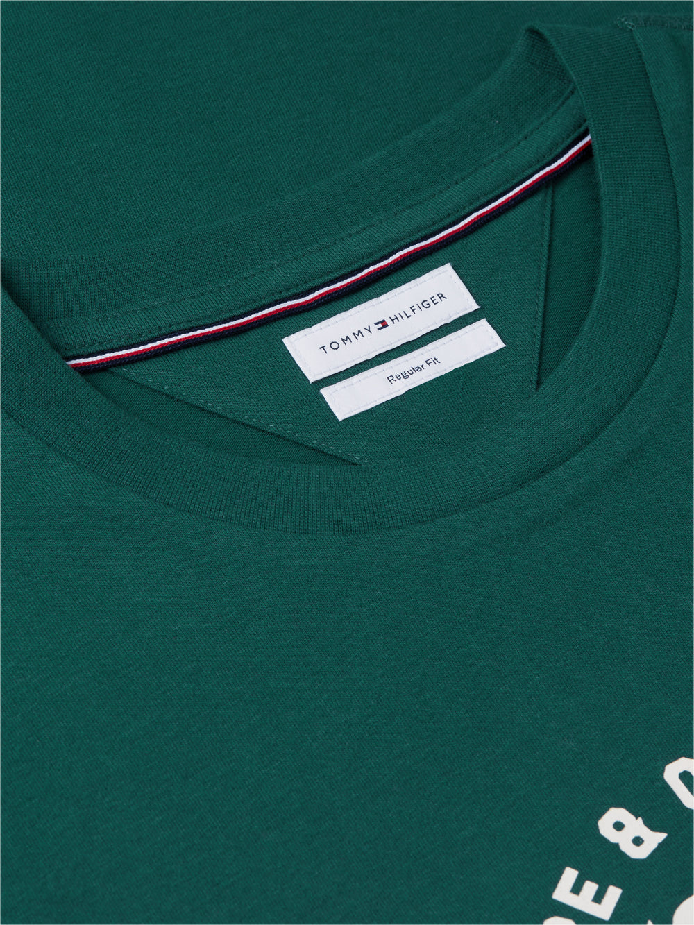 Regular Fit Graphic Print Tshirt