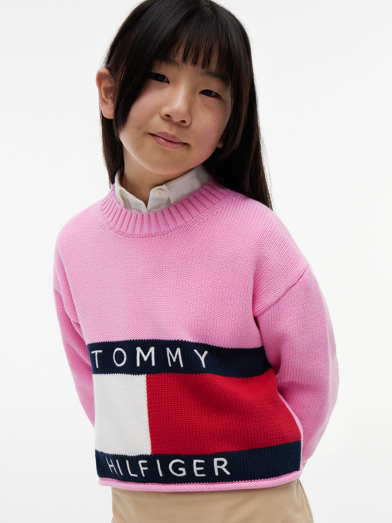 Kids Flag Logo Sweater