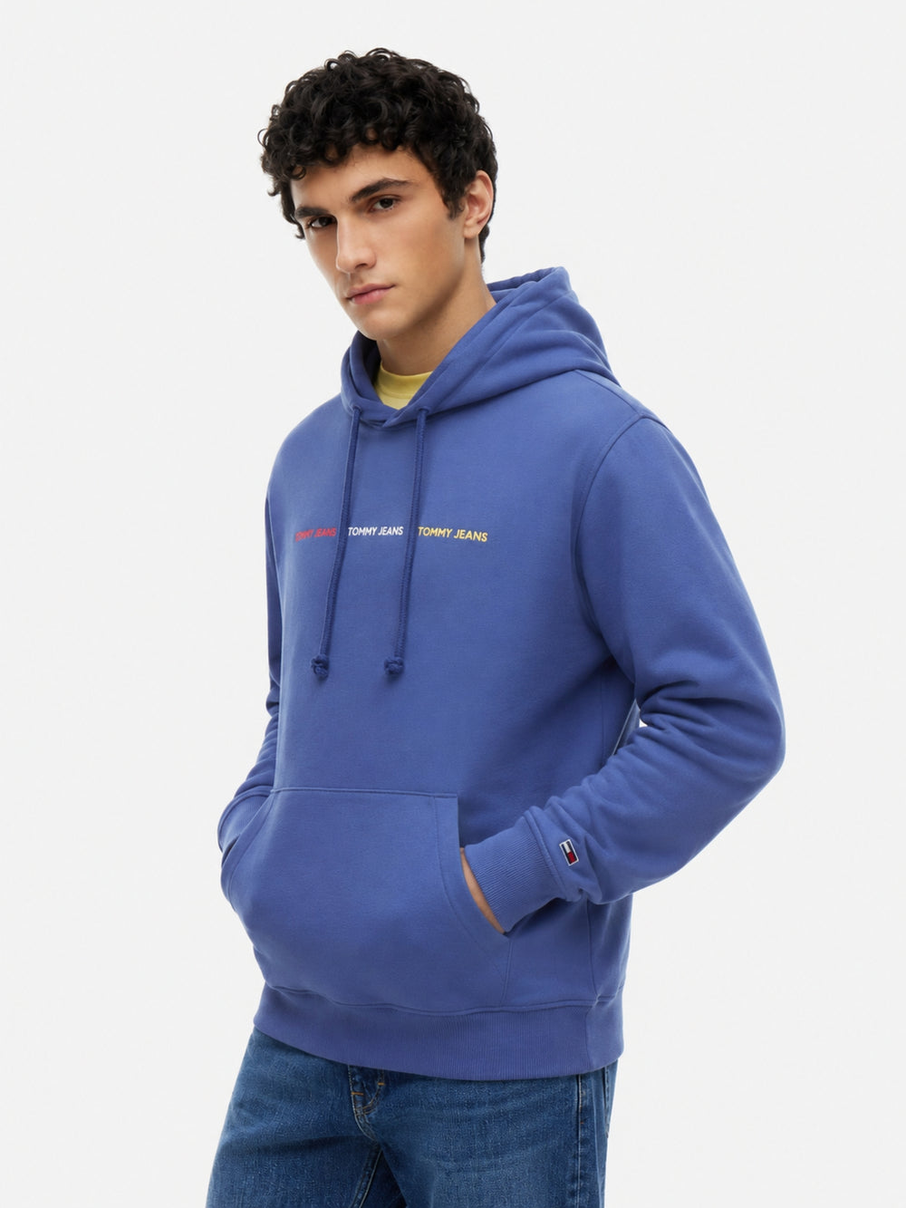 Regular Fit Terry Hooded Sweatshirt