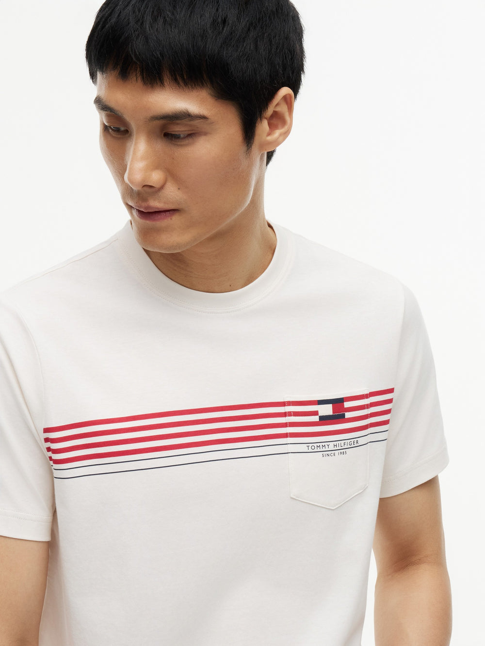 Regular Fit Striped Tshirt