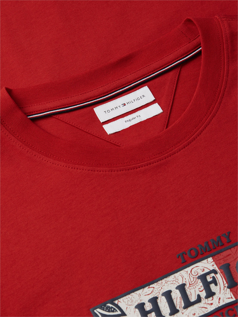 Regular Fit Graphic Tshirt