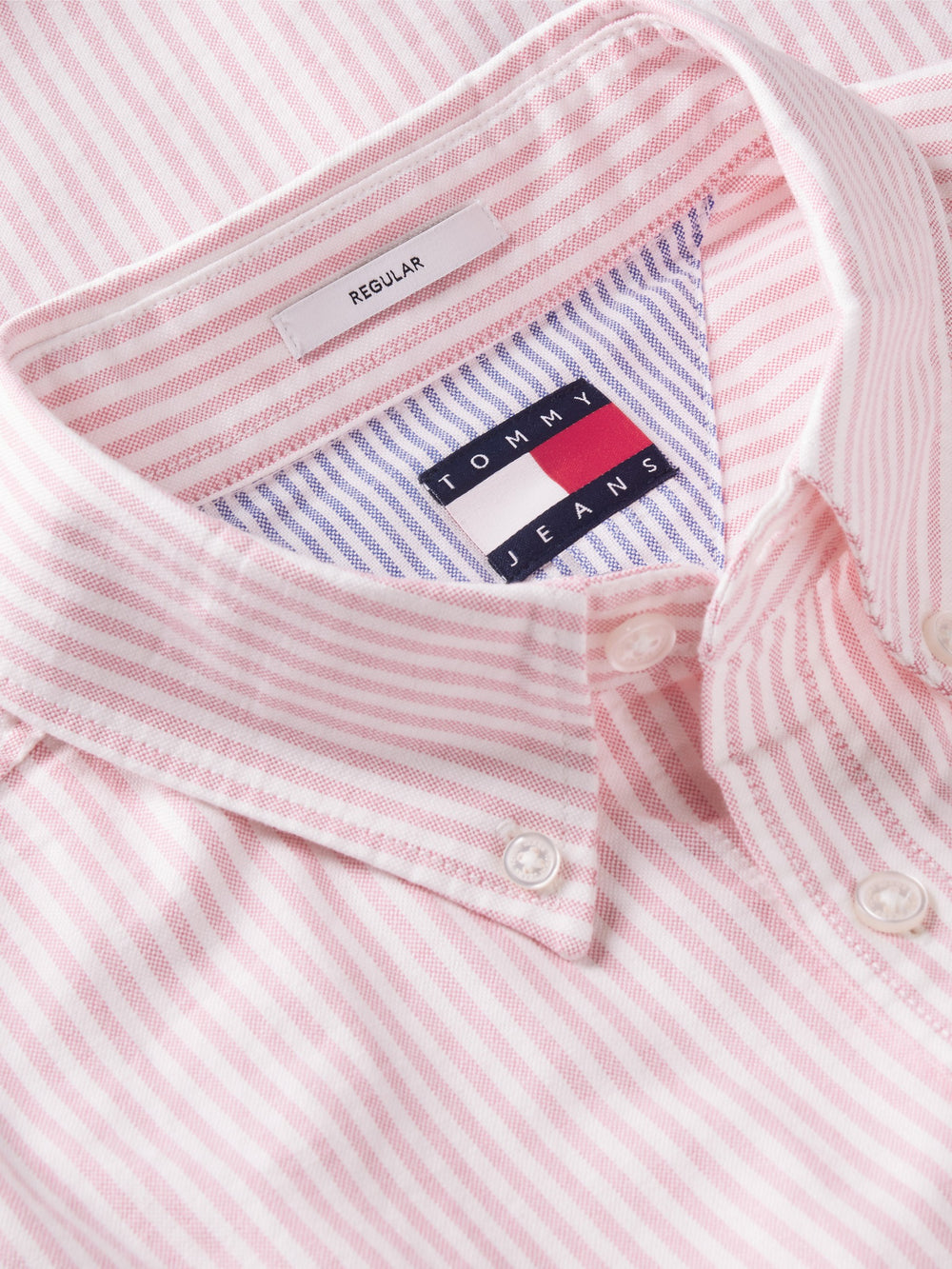 Regular Fit Stripe Oxford Shirt