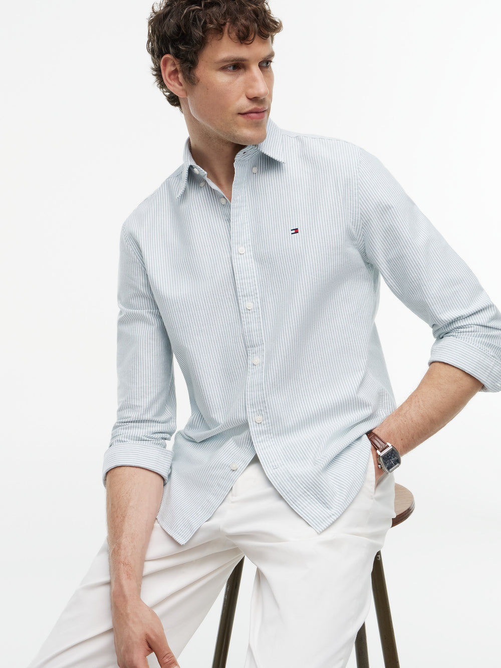 Regular Fit Stripe Oxford Shirt