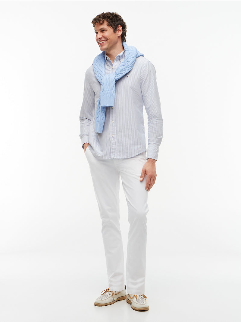 Regular Fit Stripe Oxford Shirt