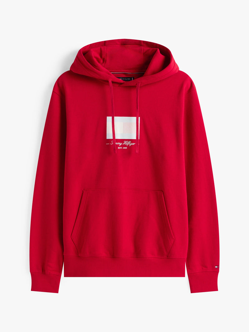 Regular Fit Graphic Print Hoodie