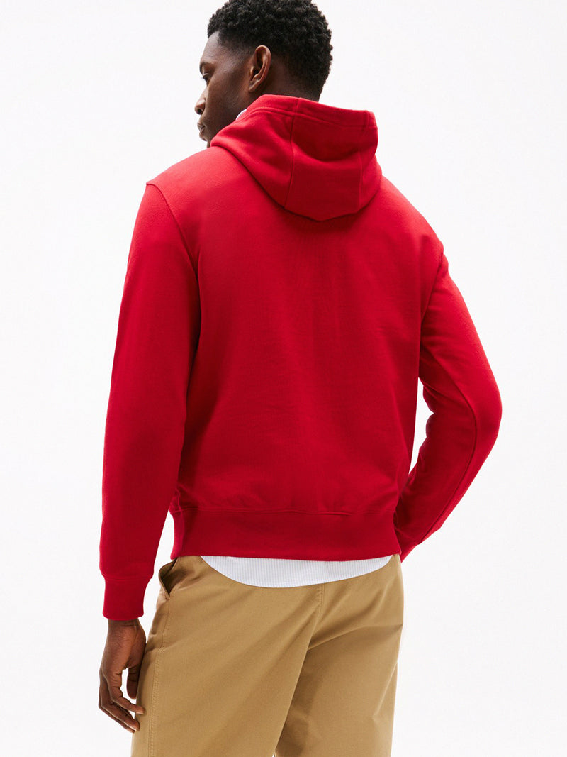 Regular Fit Graphic Print Hoodie