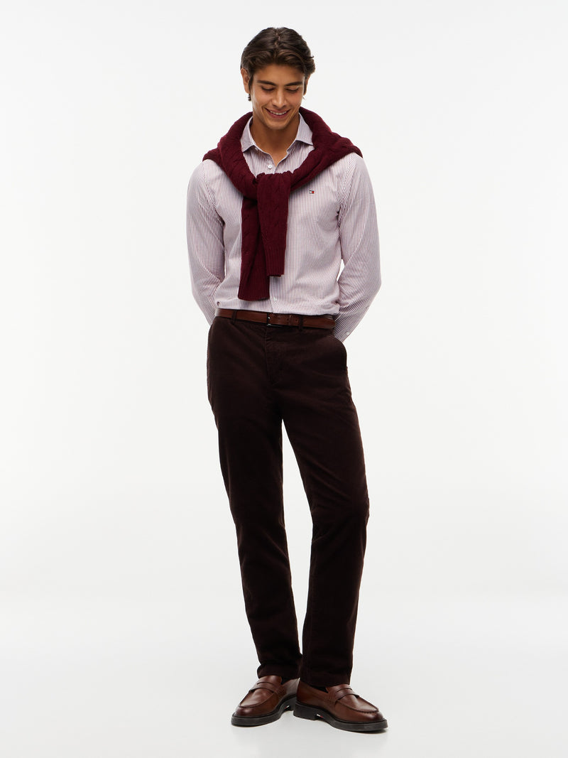 Slim Fit Stripe Oxford Shirt