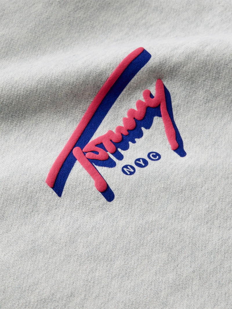 Regular Fit Suede Terry Hooded Sweatshirt