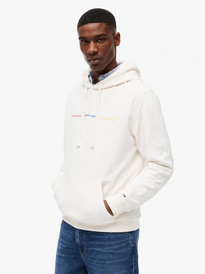 Regular Fit Terry Hooded Sweatshirt