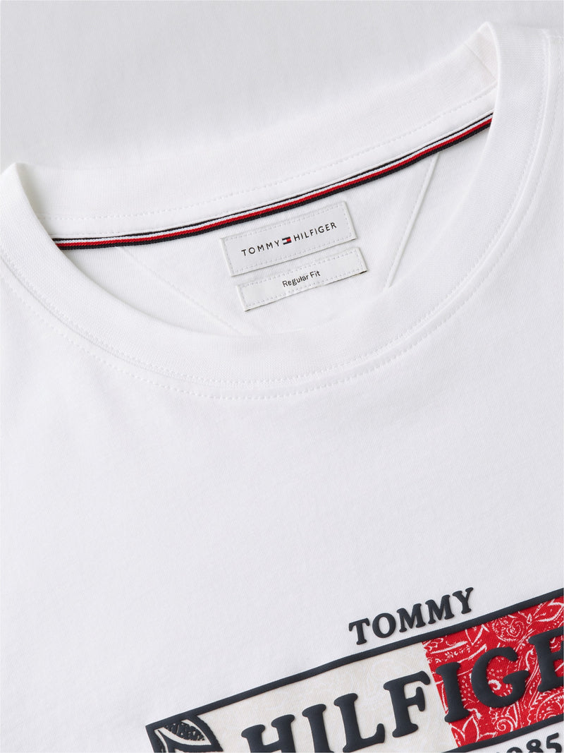 Regular Fit Graphic Tshirt