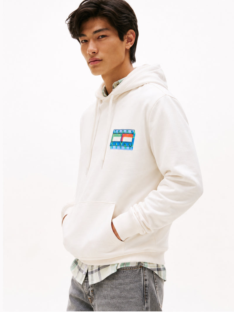 Regular Fit Terry Hooded Sweatshirt