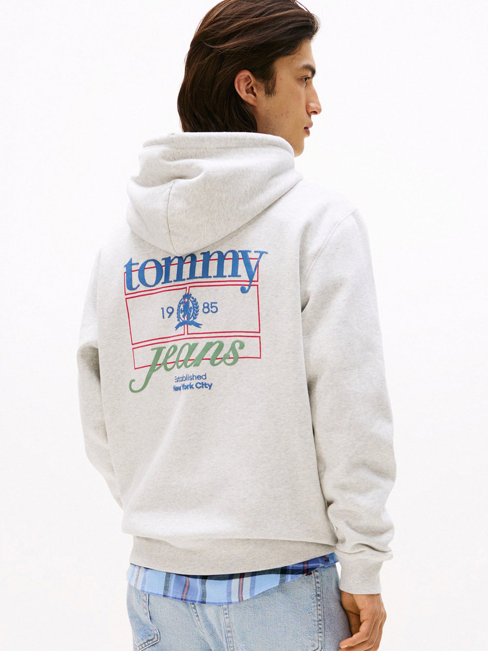 Regular Fit Brushed Fleece Hooded Sweatshirt