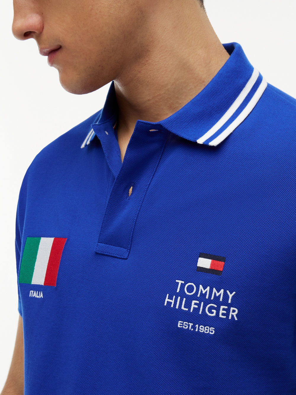 Regular Fit Graphic Pique Polo
