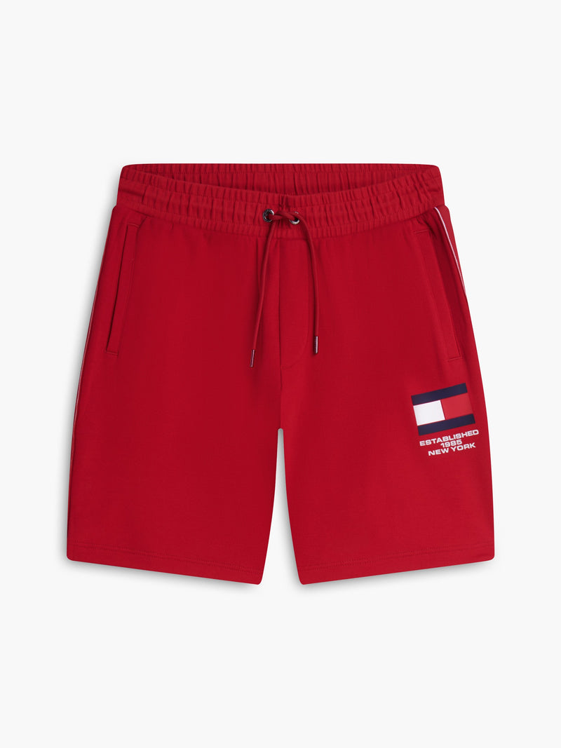 Men Regular Fit Solid Countries Shorts